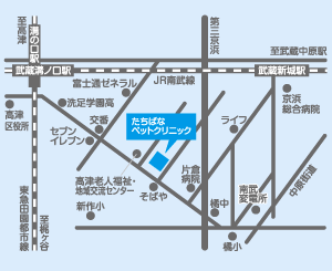 高津区溝の口（新作）にある動物病院「たちばなペットクリニック」。最寄り駅は中原区の武蔵新城駅>